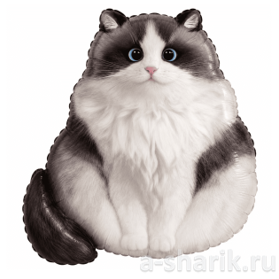 Фольгированный шар «Пушистый кот»