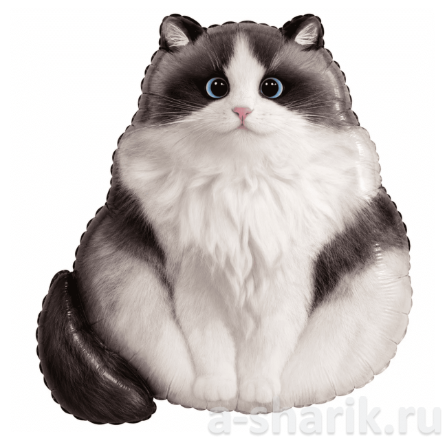 Воздушные шары "Фольгированный шар Пушистый кот" - фото