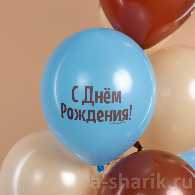 Шарики на День рождения с сердитым котом Еще на год ворчливее