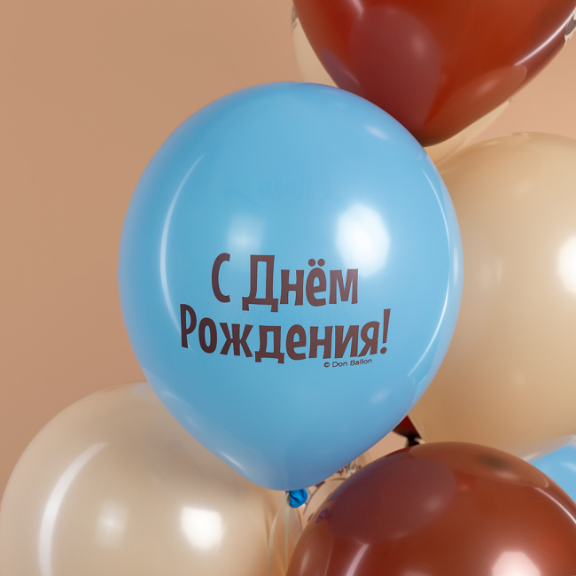 Шарики на День рождения с сердитым котом Еще на год ворчливее