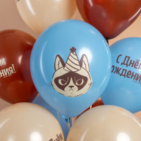 Шарики на День рождения с сердитым котом Еще на год ворчливее