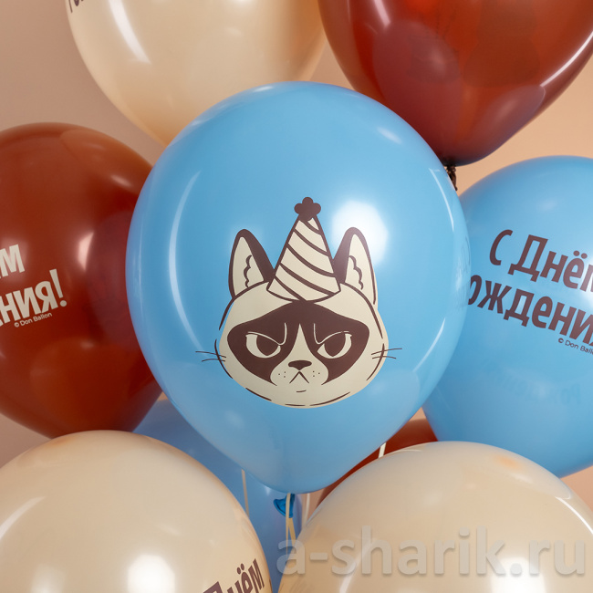Шарики на День рождения с сердитым котом Еще на год ворчливее