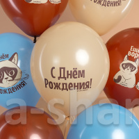 Шарики на День рождения с сердитым котом Еще на год ворчливее