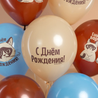 Шарики на День рождения с сердитым котом Еще на год ворчливее