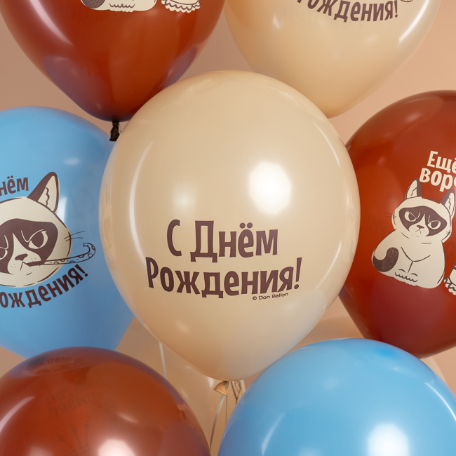 Шарики на День рождения с сердитым котом Еще на год ворчливее