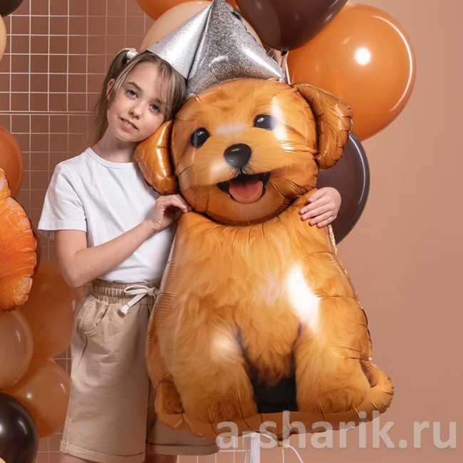 Фольгированный шар Песик в колпаке, мальтипу