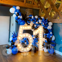 Фотозона из шаров 51