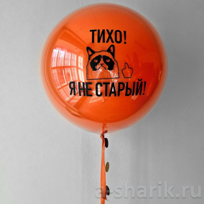 Воздушные шары "Большой шар дабл стафф с надписью Кот с характером" - фото
