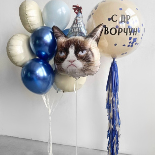 картинка Набор воздушных шаров «Ворчливый кот» магазин Одежда+ являющийся официальным дистрибьютором в России 