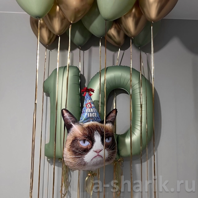 Воздушные шары "Шары под потолок Кот с настроением" - фото