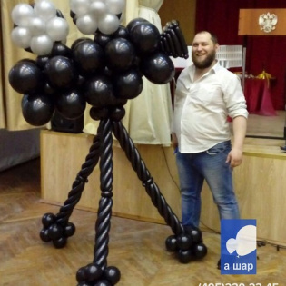 картинка Видеокамера из воздушных шаров магазин Одежда+ являющийся официальным дистрибьютором в России 