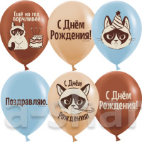Шарики на День рождения с сердитым котом Еще на год ворчливее