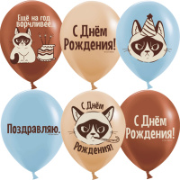 Шарики на День рождения с сердитым котом Еще на год ворчливее
