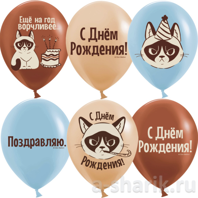 Шарики на День рождения с сердитым котом Еще на год ворчливее